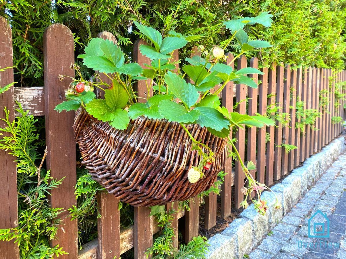 Holibobos Year Round Cottage In Kamien By The Lake Only 30 Minutes From Gdansk And Gdynia المظهر الخارجي الصورة